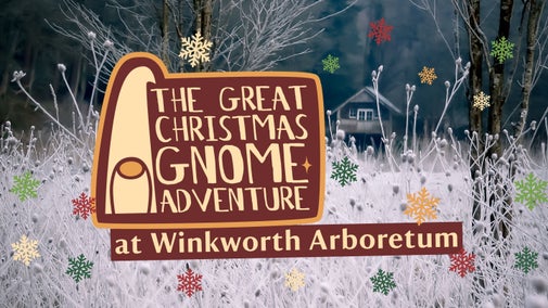 Promotional graphic for The Great Christmas Gnome Adventure at Winkworth Arboretum featuring the lake at Winkworth with frost cover plants and the boathouse in the background.